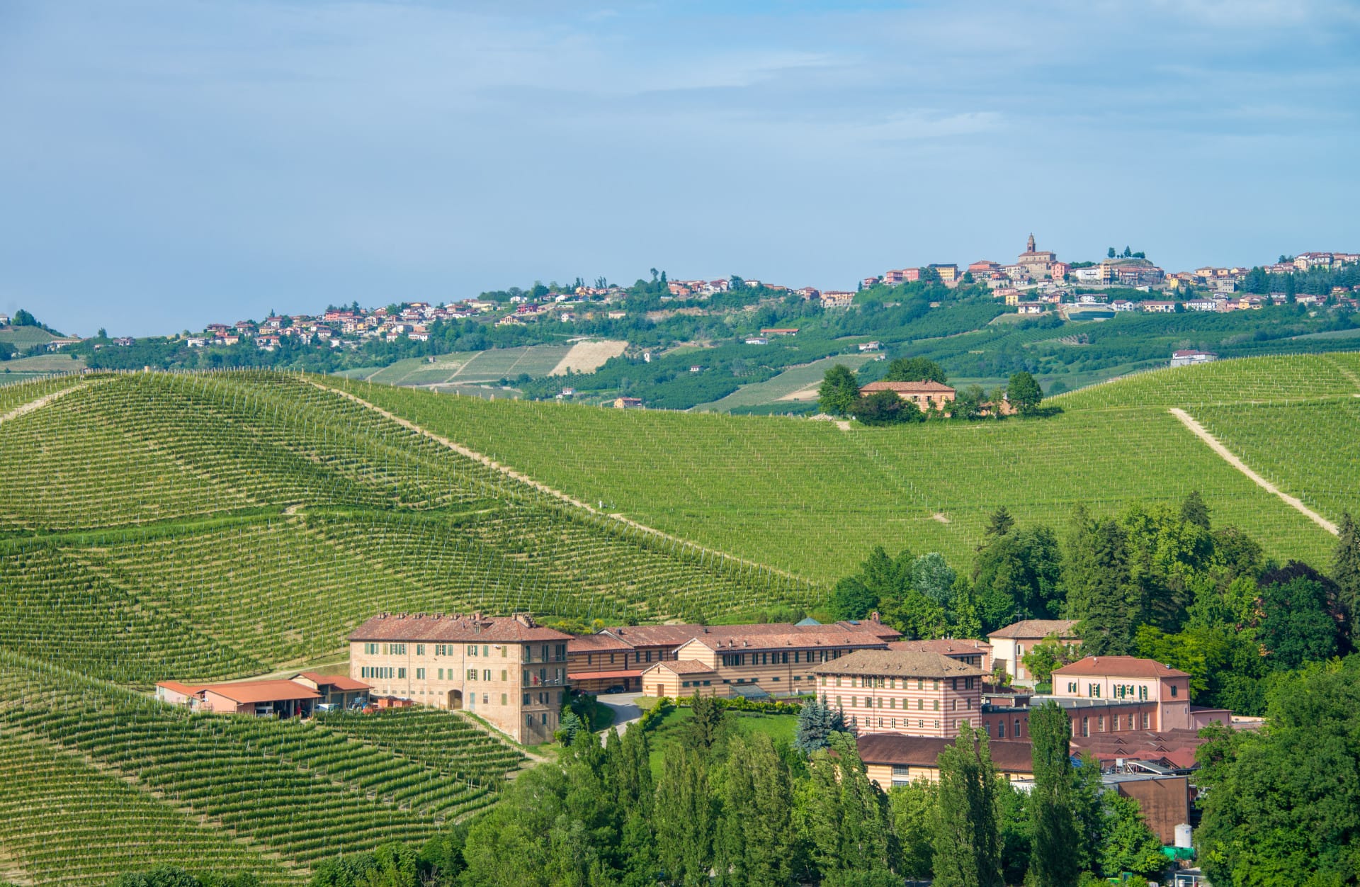 Nella tenuta di caccia del Re Vittorio Emanuele II tra storie di amori, di vini e di cantine. Fontanafredda di Serralunga d'Alba 1