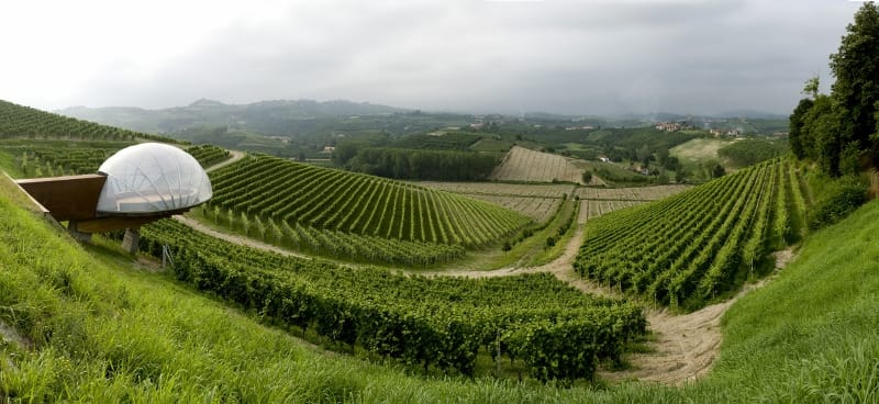 Visita alle cantine Ceretto 1