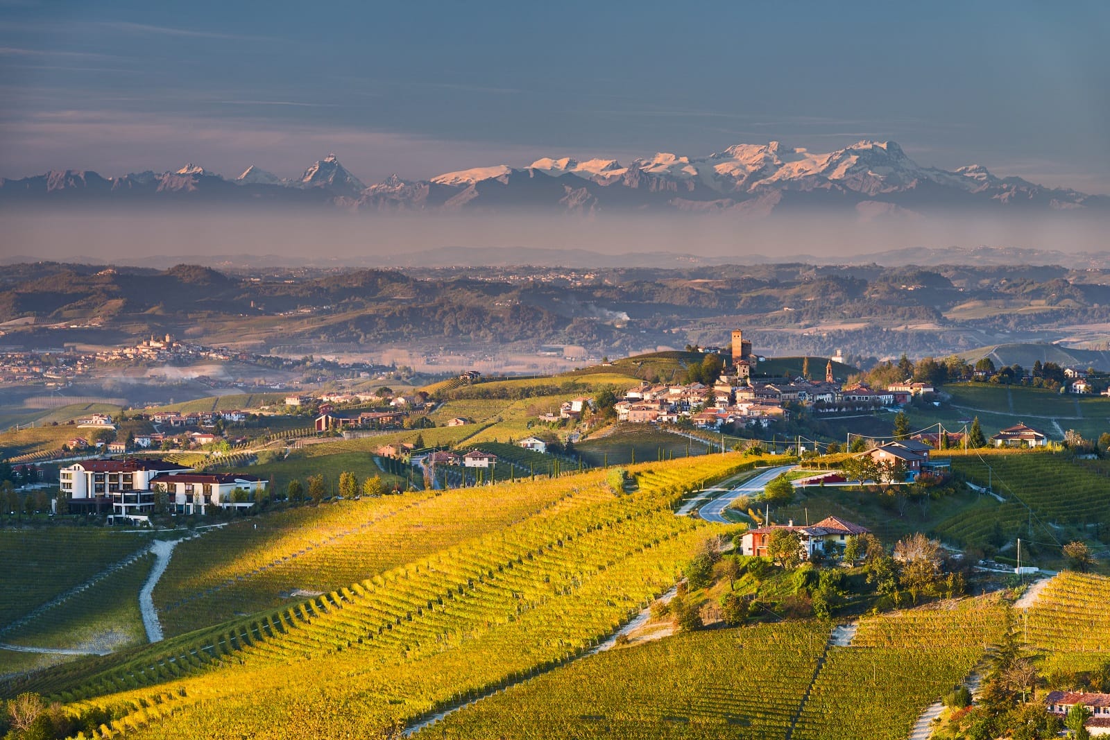 Giganti di Langa: generazioni di vignaioli a confronto 1