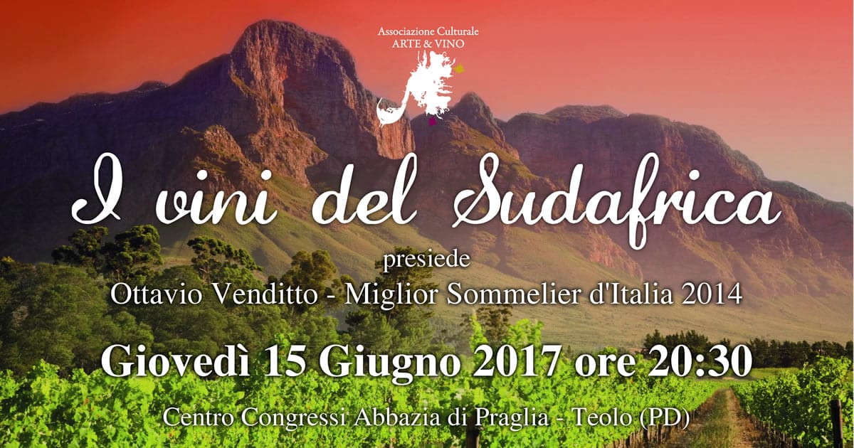 I vini del Sud Africa 1