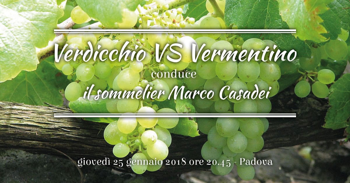 Verdicchio vs Vermentino: differenze a confronto 1