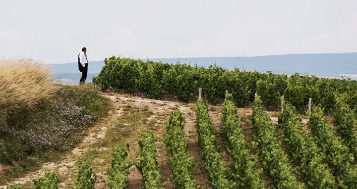 La Maison Bruno Paillard: l'eleganza fatta Champagne 2