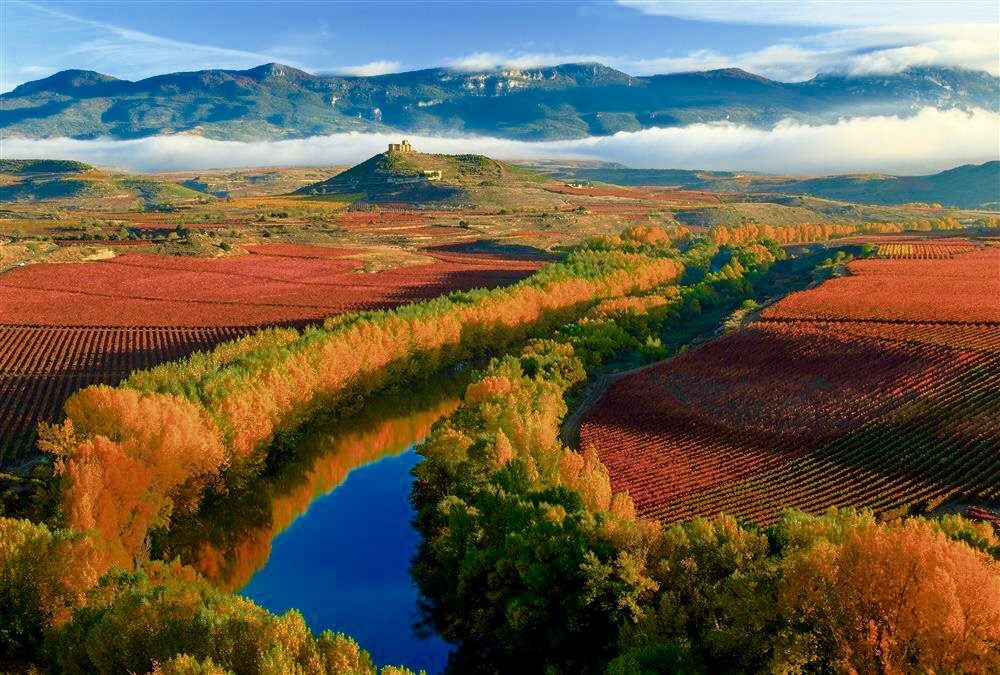 Seminario i vini di Rioja, Ribera del Duero e Priorat