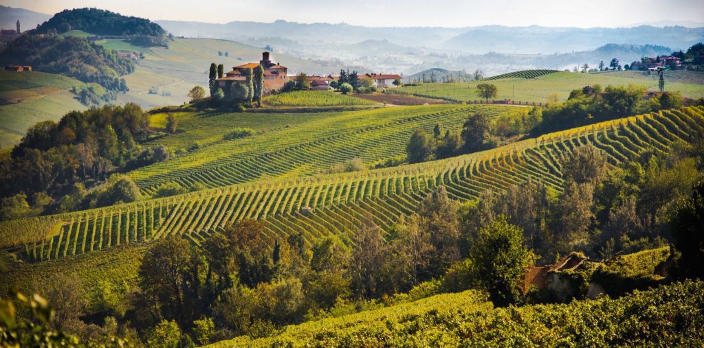 Masterclass Il Nebbiolo 1