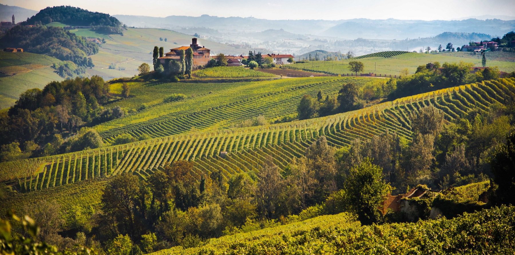 Masterclass Il Nebbiolo