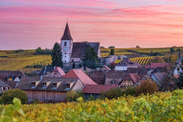 L’Alsazia e i suoi vini, una meraviglia tutta da scoprire
