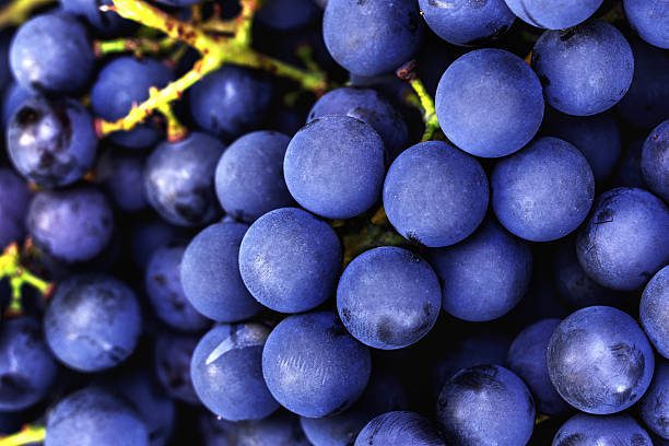 Pinot nero: quando il vino è una scelta di stile