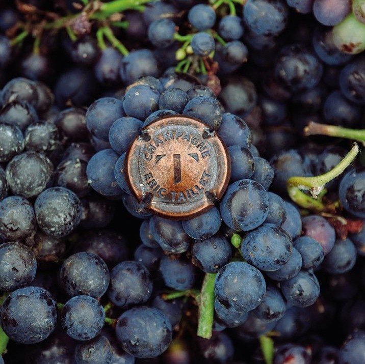 Maison Éric Taillet, il re del Pinot Meunier! 1