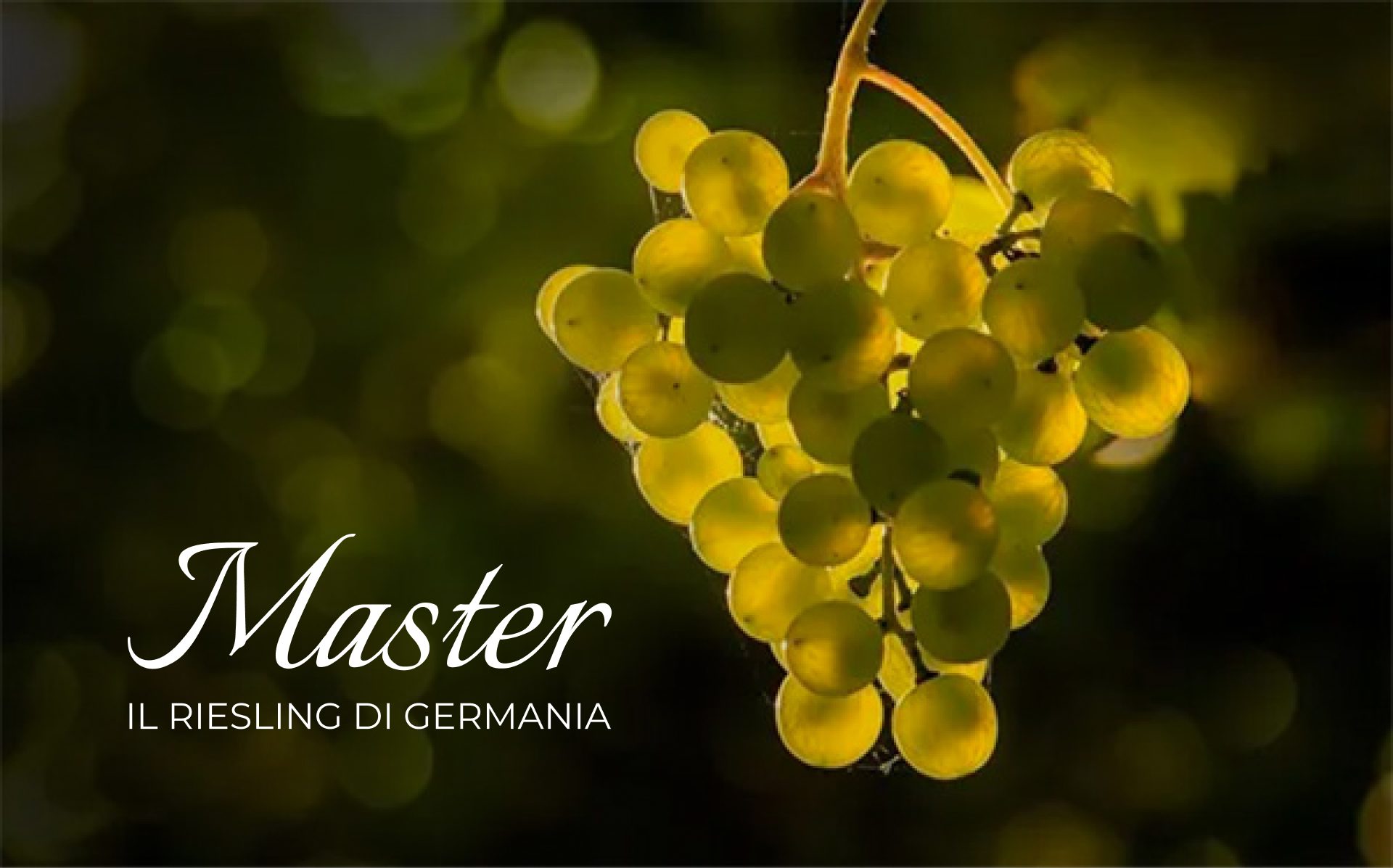 Master – Il Riesling di Germania