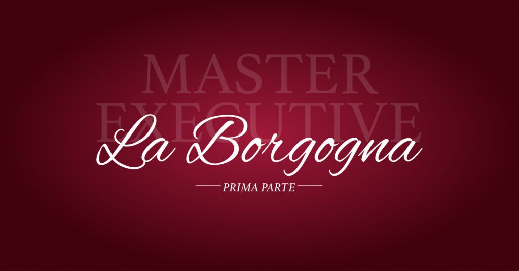 La Borgogna: Il Master Executive 8
