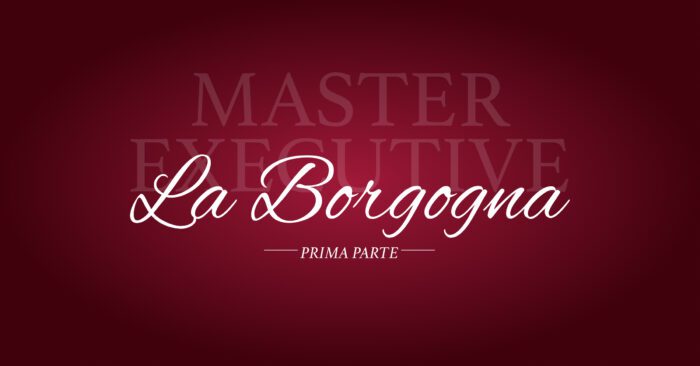 CORSO COMPLETO - La Borgogna: Il Master Executive 1