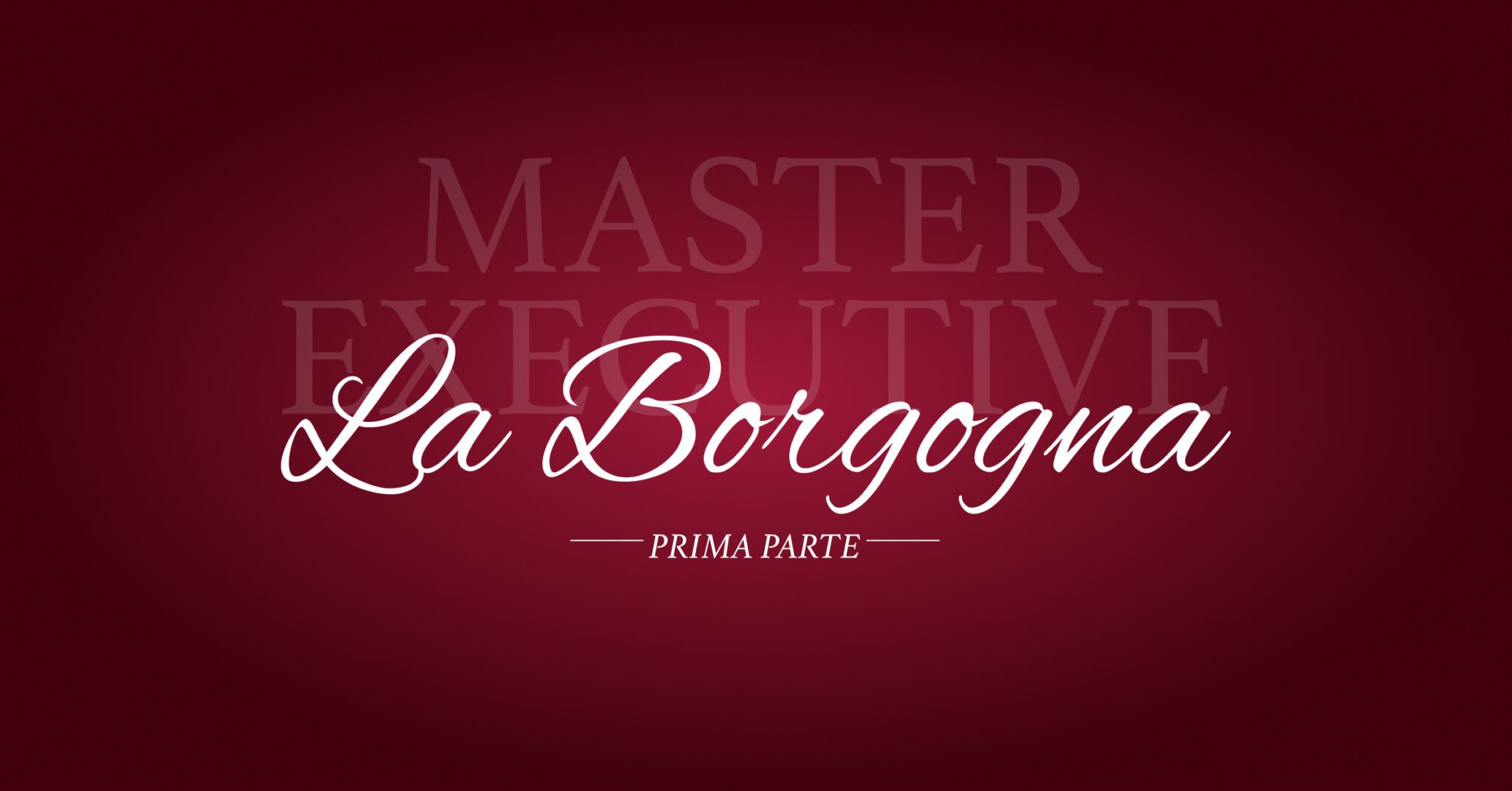 La Borgogna: Il Master Executive 1