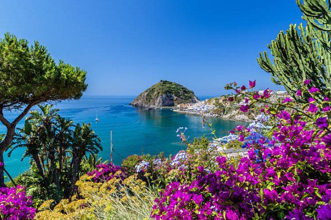 Ischia: alla scoperta dell’isola verde e dei suoi vini 1