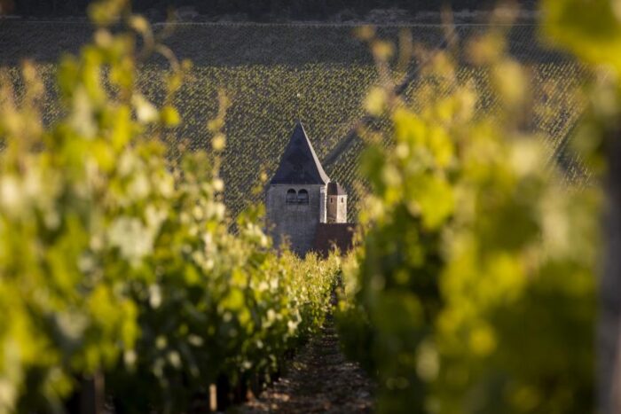 Evento BIS - Etna Bianco & Chablis