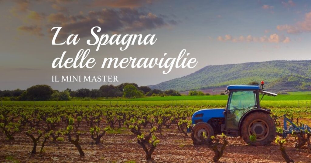La Spagna delle meraviglie 1