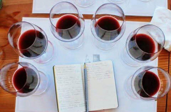 Wine Summer School 2025, Capire il vino – LEZIONE 1