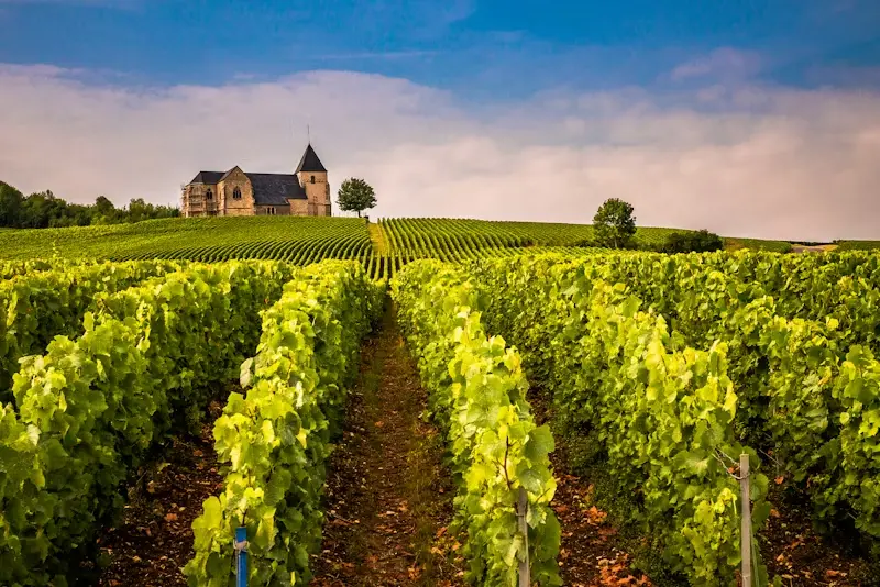 LEZIONE 1 – Master Geologia e Vini Francesi