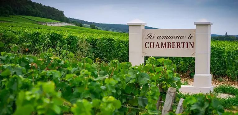Gevrey Chambertin: pugno di ferro in guanto di velluto