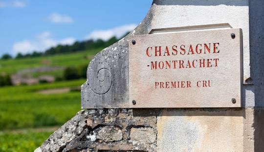 Chassagne Montrachet, opulenza e immensità