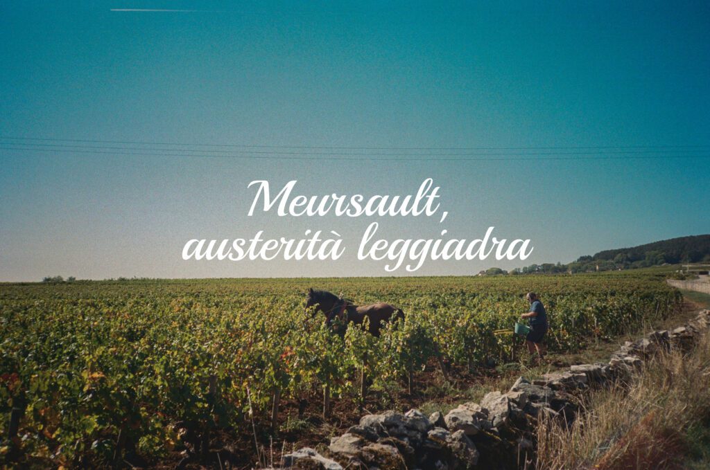 Meursault, austerità leggiadra 1