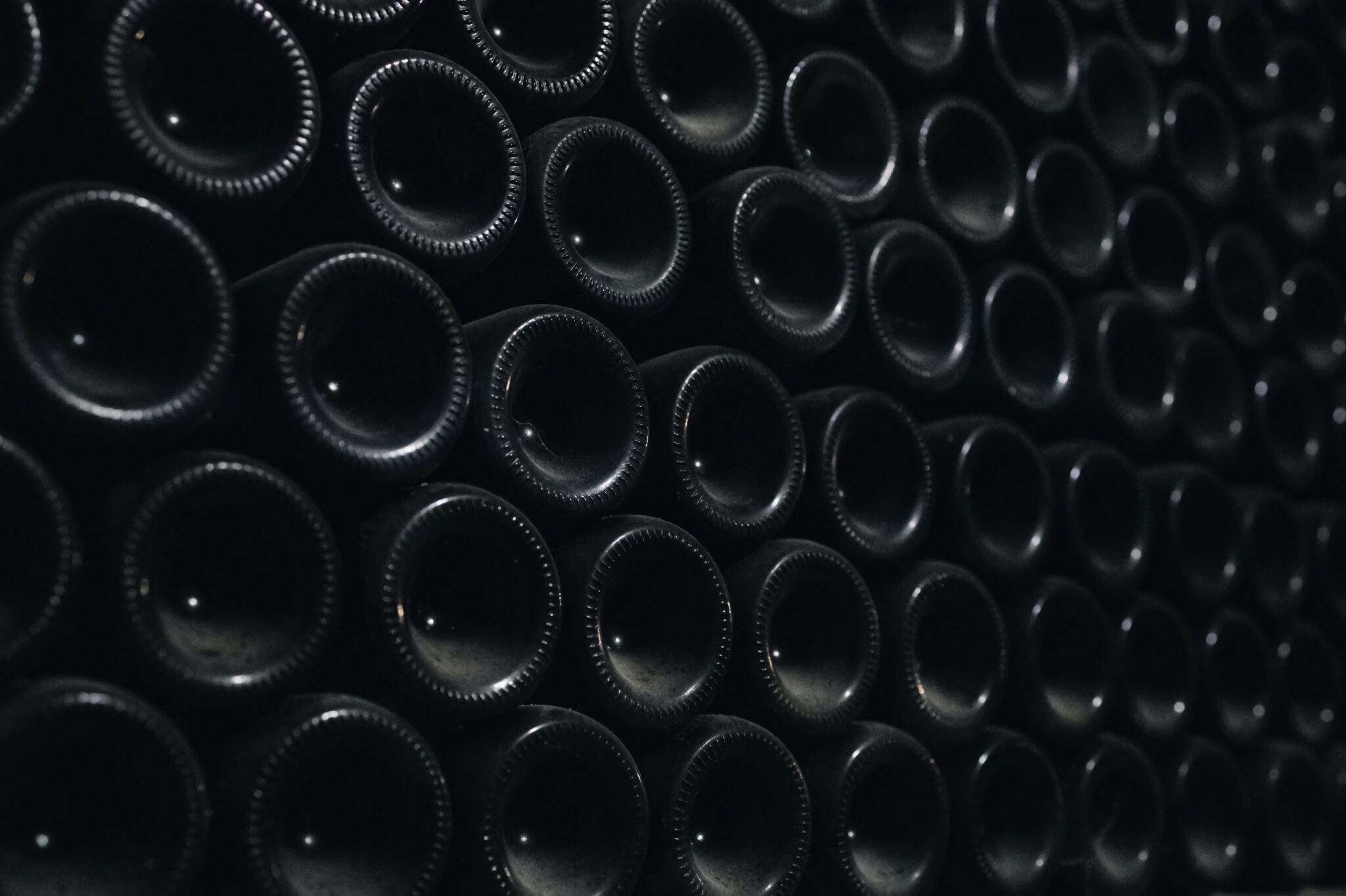 L’opificio della conoscenza: cosa è e come avviene la Champagnisation