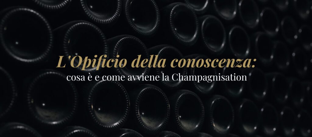 L’opificio della conoscenza: cosa è e come avviene la Champagnisation 1