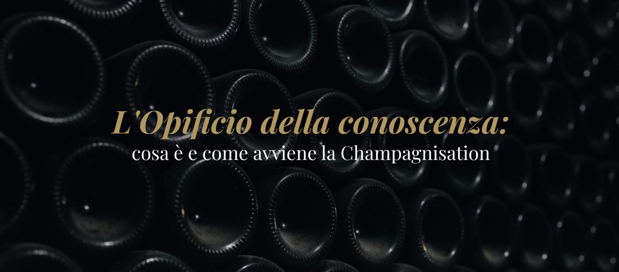 L’opificio della conoscenza: cosa è e come avviene la Champagnisation 1