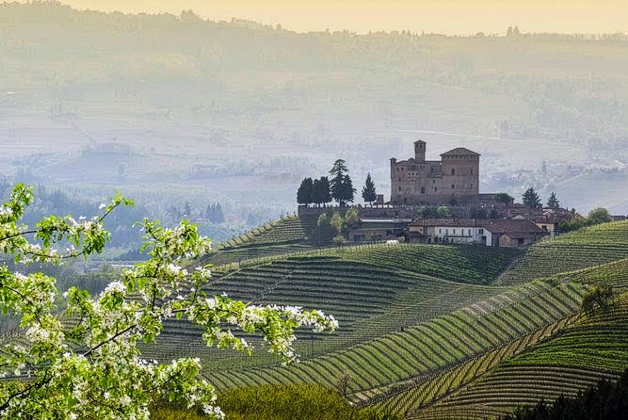 Mini Master I Cru di Barolo – Seconda Parte