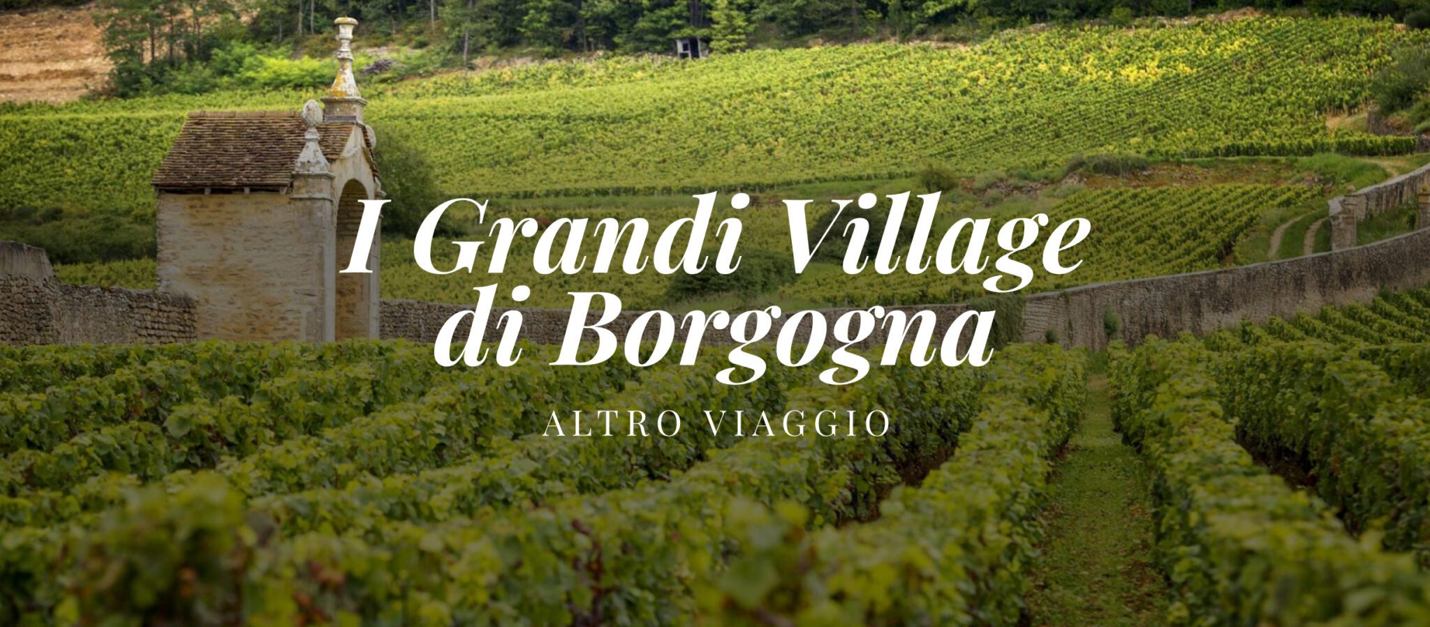 LEZIONE 1 – I grandi Village di Borgogna – Altro viaggio