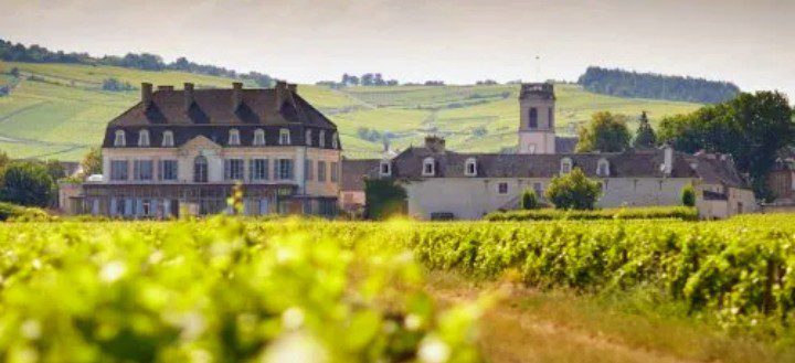 Lezione 2 - I grandi Village di Borgogna – Altro viaggio 1
