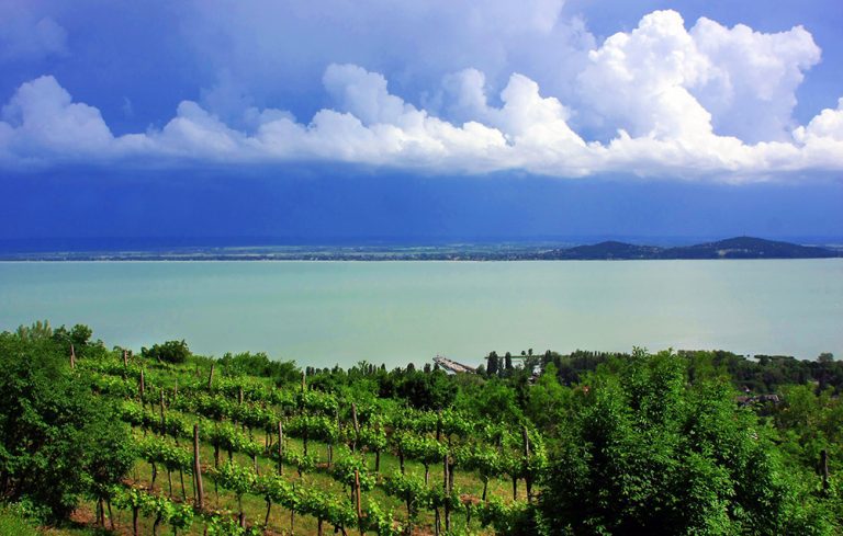 Lezione 3 - Master – Geologia e Vini Vulcanici 1