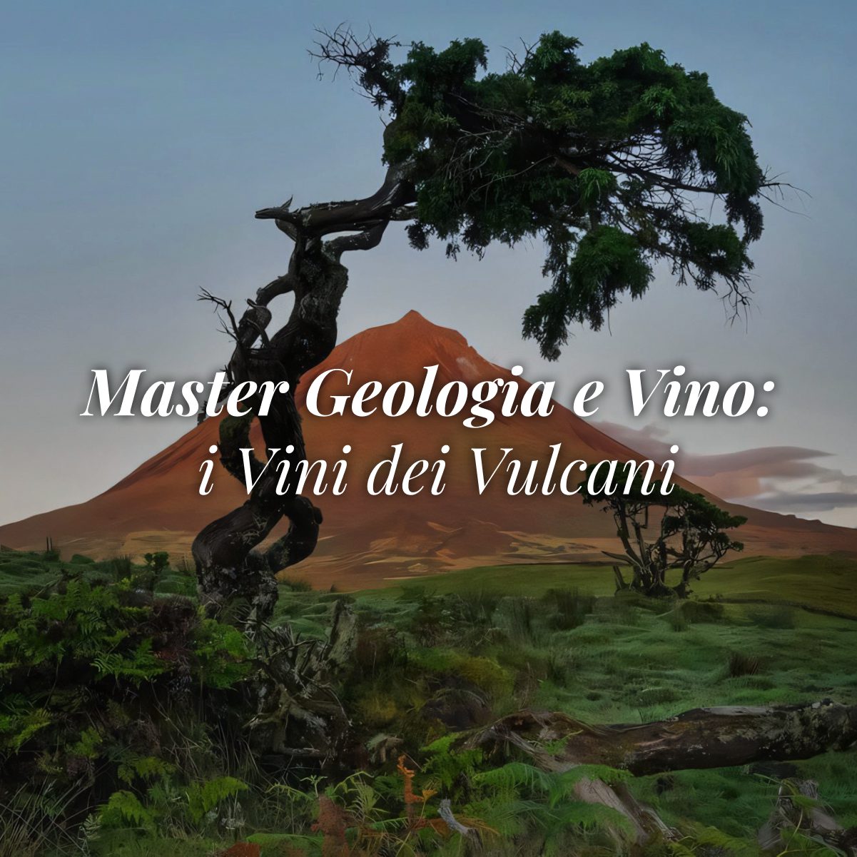 LEZIONE 4 – Secondo Master geologia e vino: i vini dei vulcani